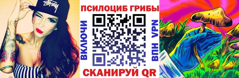ОМГ ОМГ ссылки  Богданович  Галлюциногенные грибы мицелий 