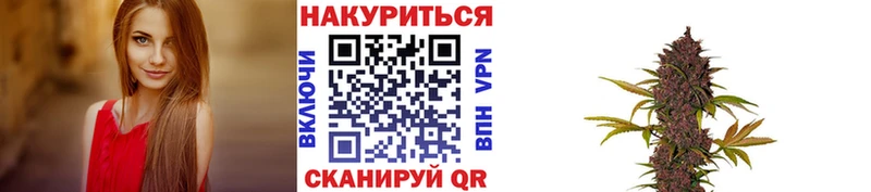 гидра ONION  Богданович  Канабис план 